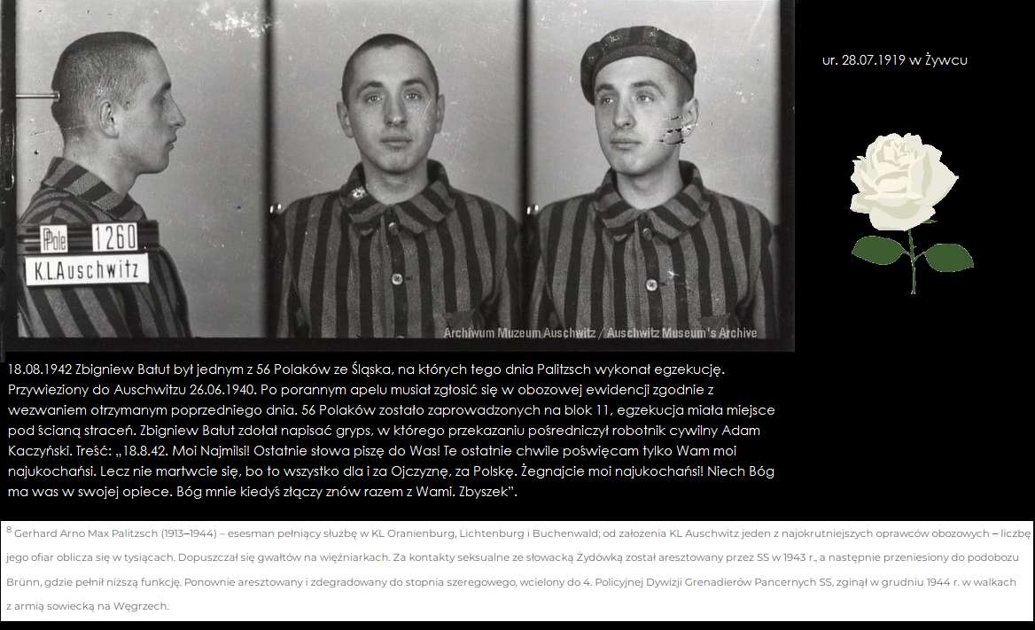 56 Polaków ze Śląska w Auschwitzu puzzle online z fotografie