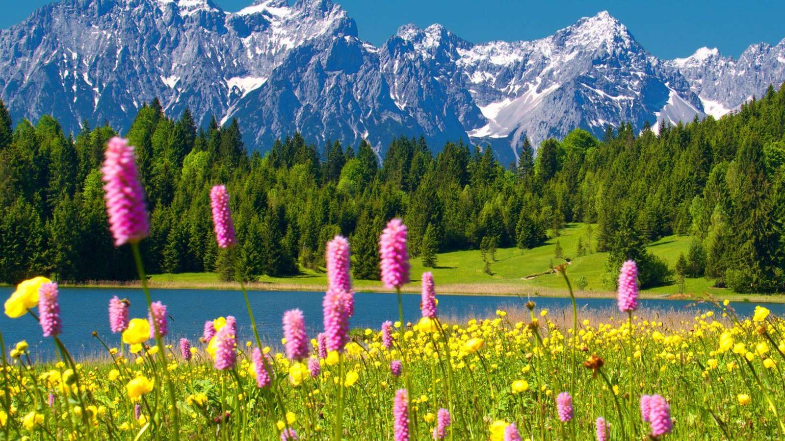 Montagne e fiori puzzle online da foto