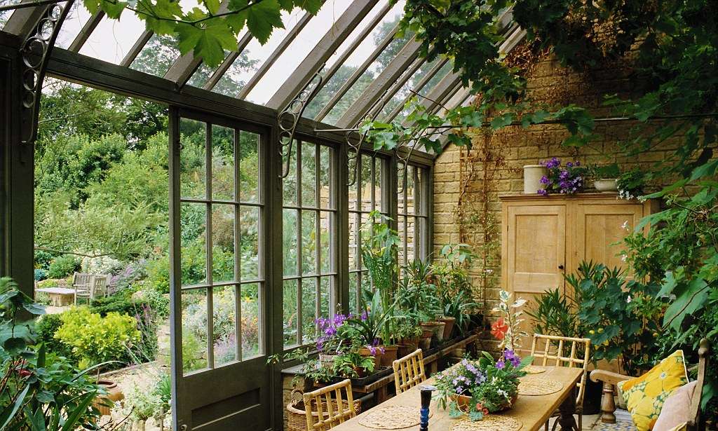 Sun Room WITH/Plants παζλ online από φωτογραφία