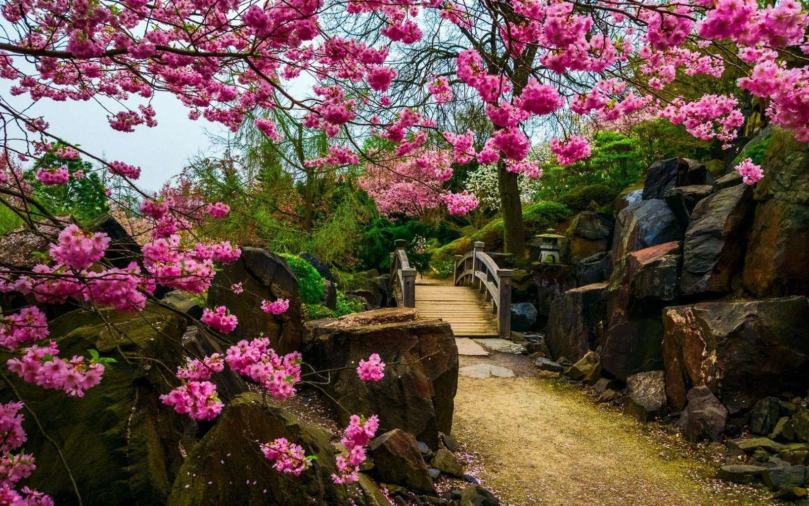 Zen-tuinen puzzel online van foto