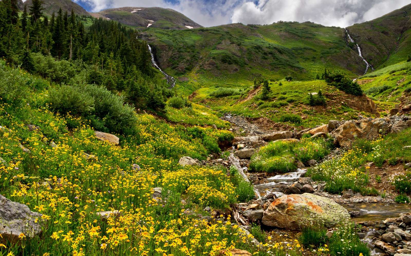 campo de amarillo puzzle online a partir de foto