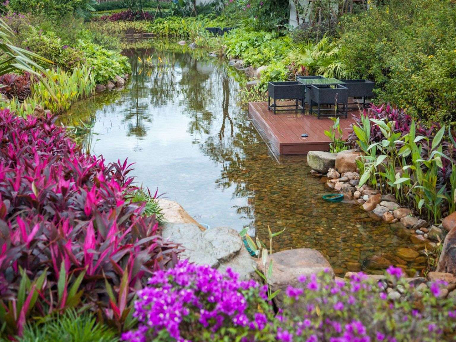 Pond with Flowers online puzzle