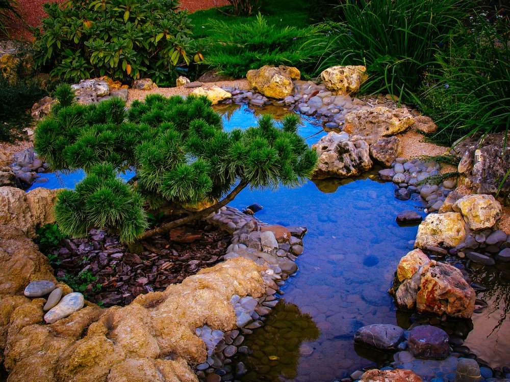 Tiempo Zen en el patio trasero rompecabezas en línea