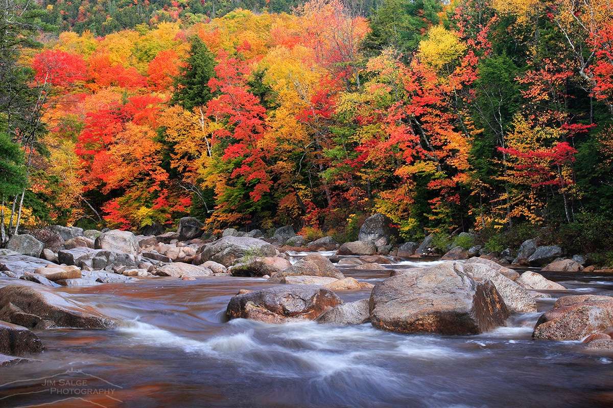 New England (USA) Autunno puzzle online