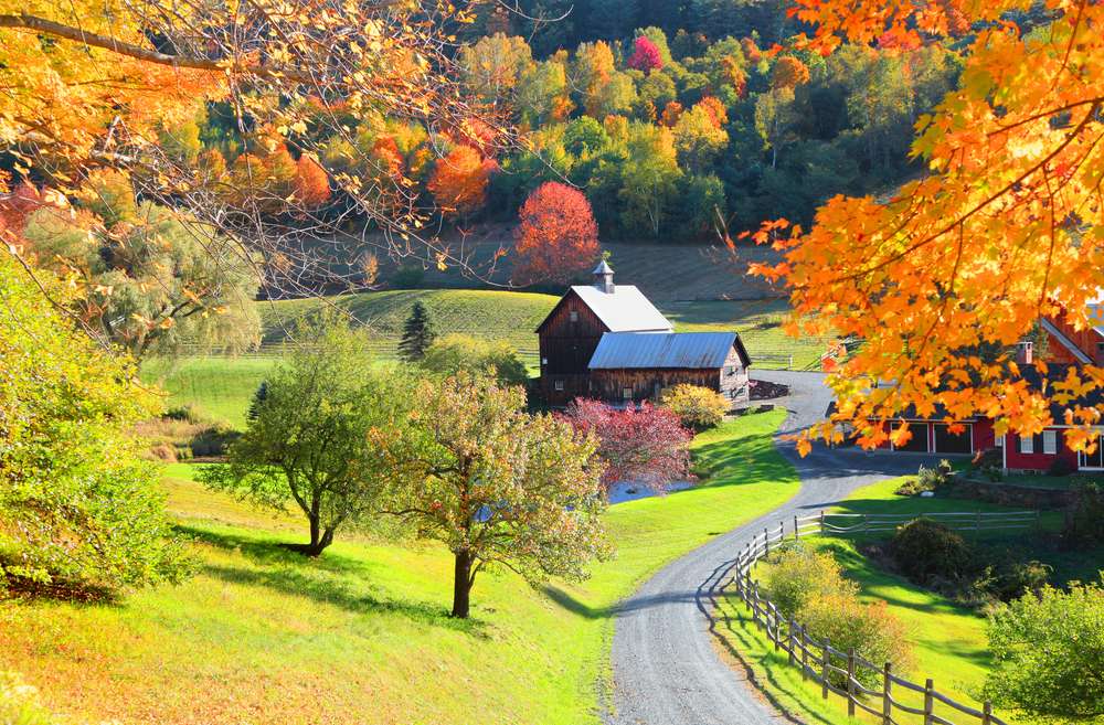 Granja de otoño rompecabezas en línea