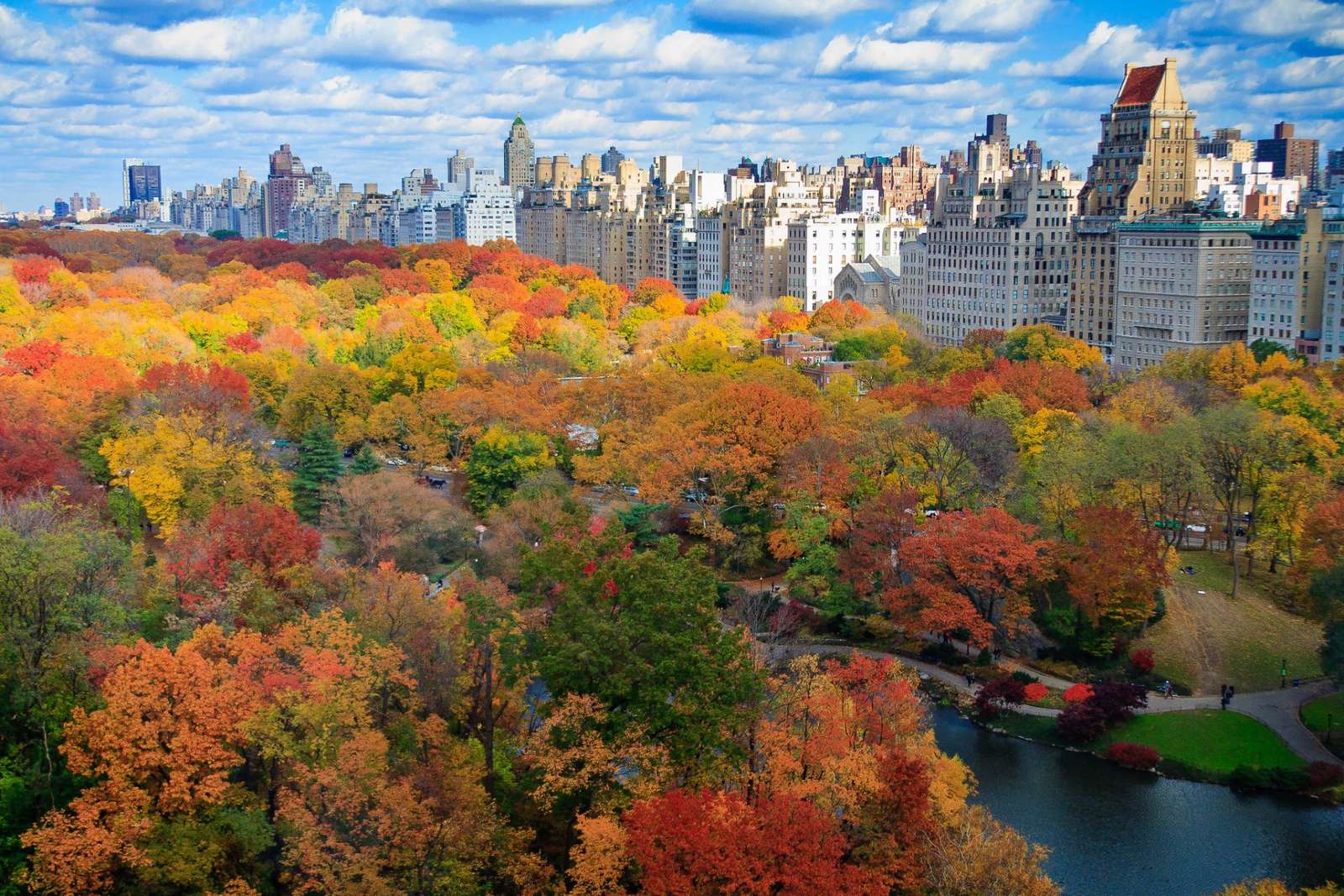 NYC листя восени онлайн пазл