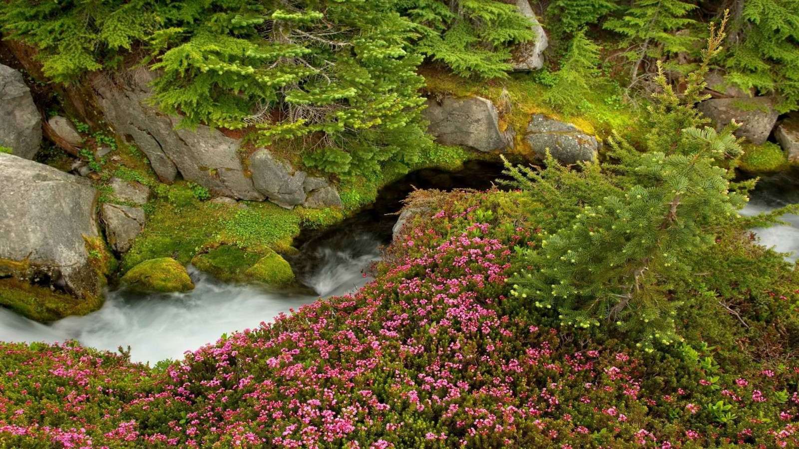 Naturliga blommor pussel online från foto