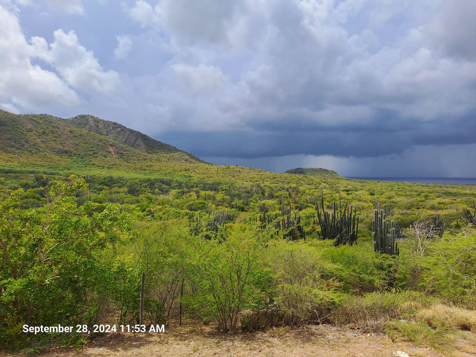 Orage à Kenepa puzzle en ligne