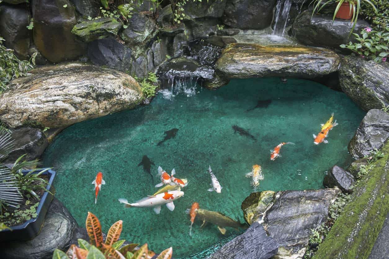 Coyote Canyons Аризона онлайн пъзел от снимка