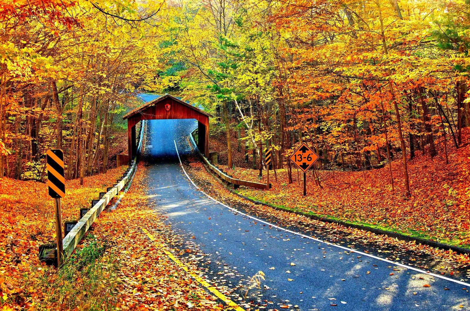 Follaje de otoño rompecabezas en línea