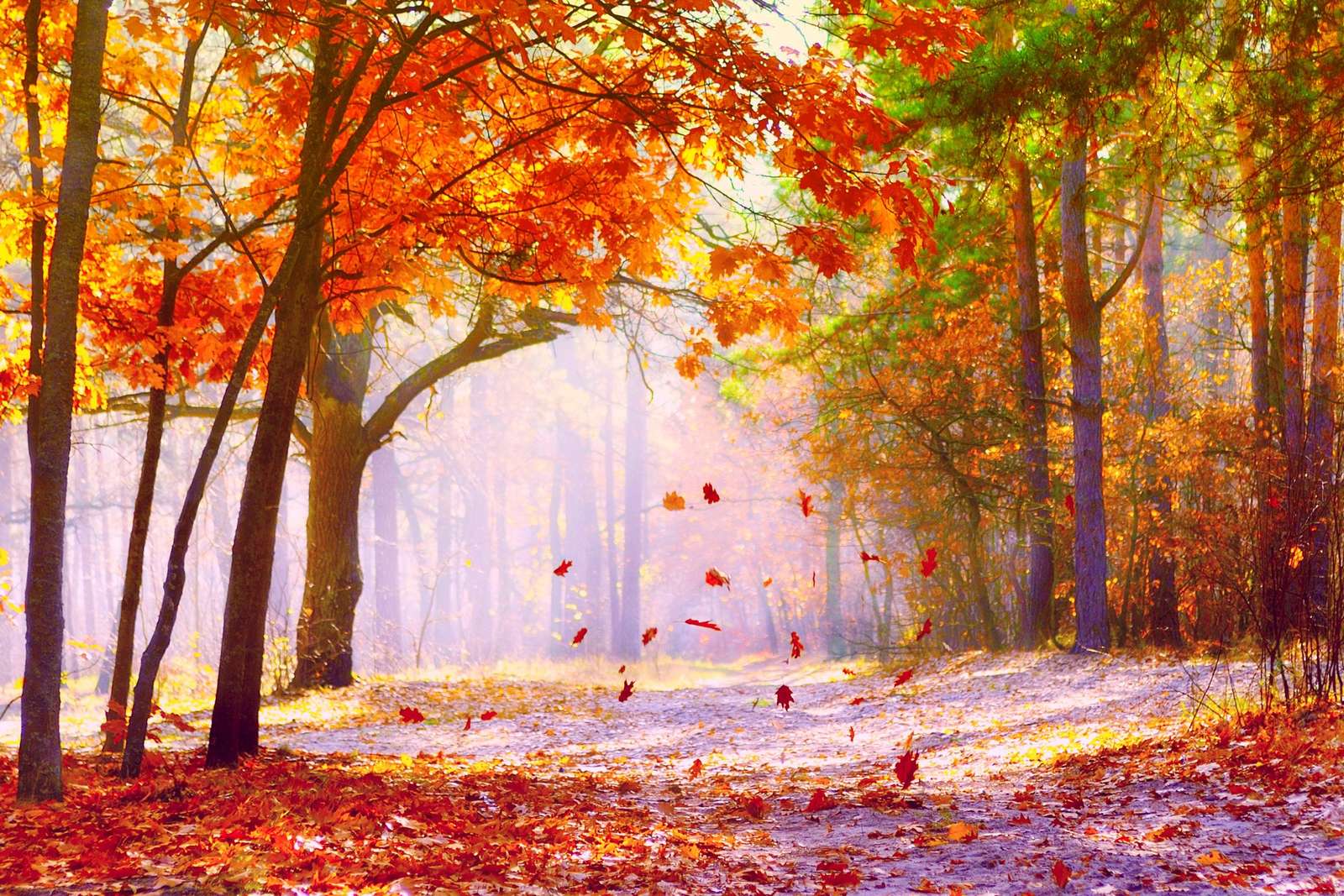 Una giornata autunnale puzzle online da foto