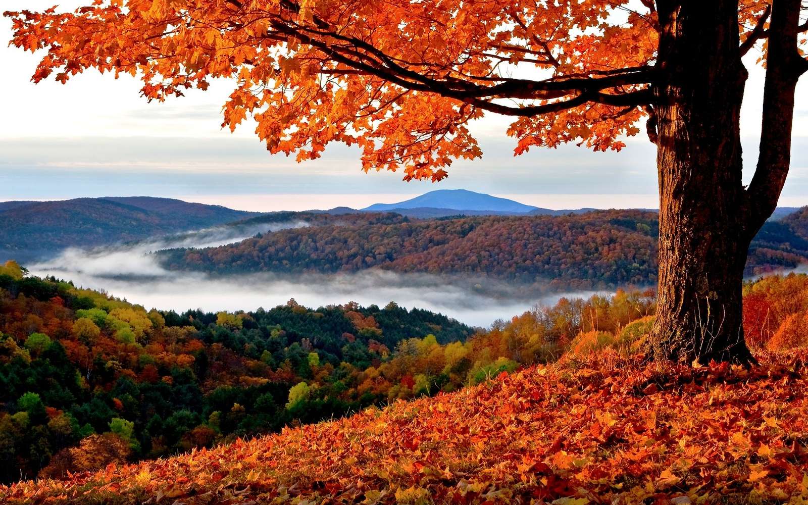 紅葉の風景 オンラインパズル