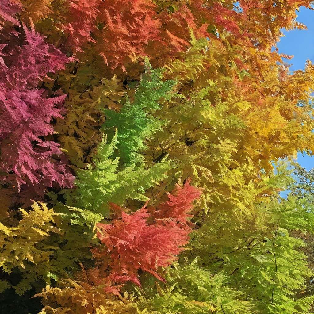 Regenbogenfarbener Baum Online-Puzzle vom Foto