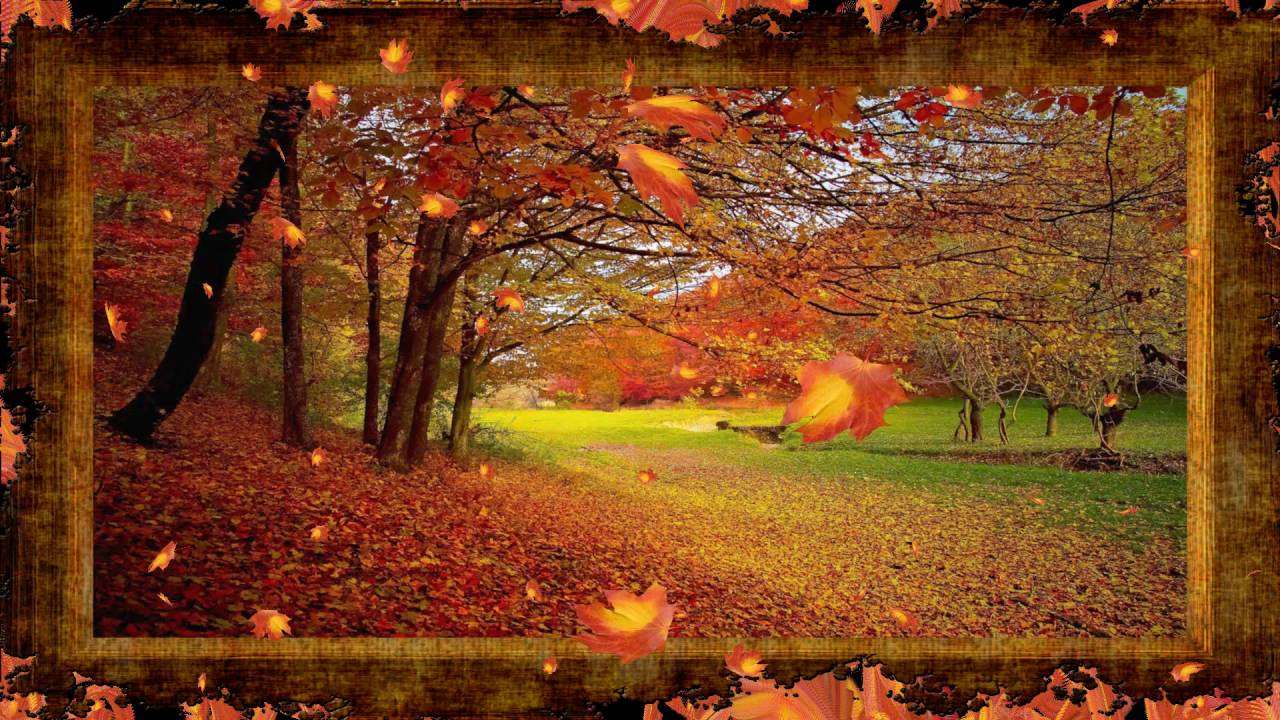 A Framed Autumn puzzle online from photo