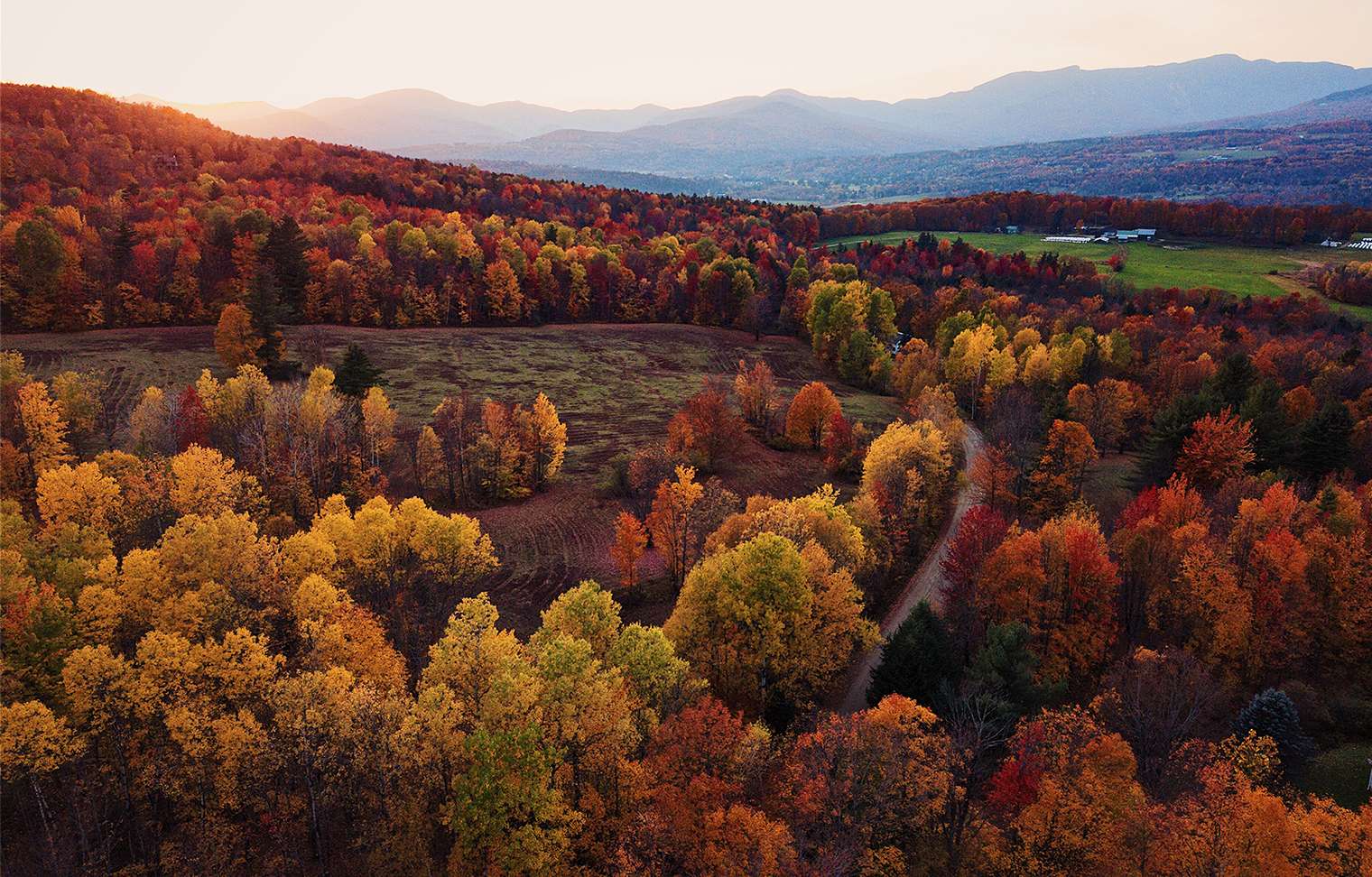 Otoño en un lado de la ciudad puzzle online a partir de foto