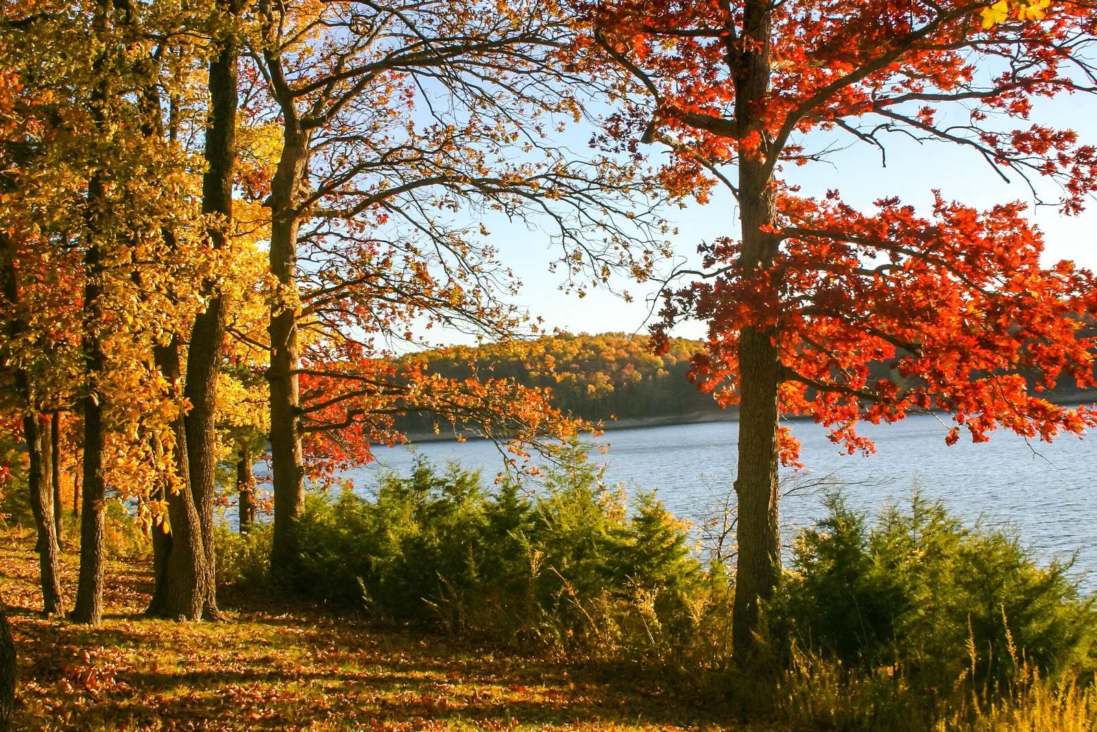 Feuillage d'automne puzzle en ligne