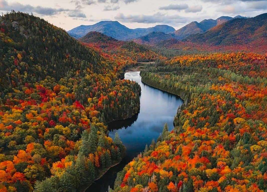 Поток красоты листвы пазл онлайн из фото