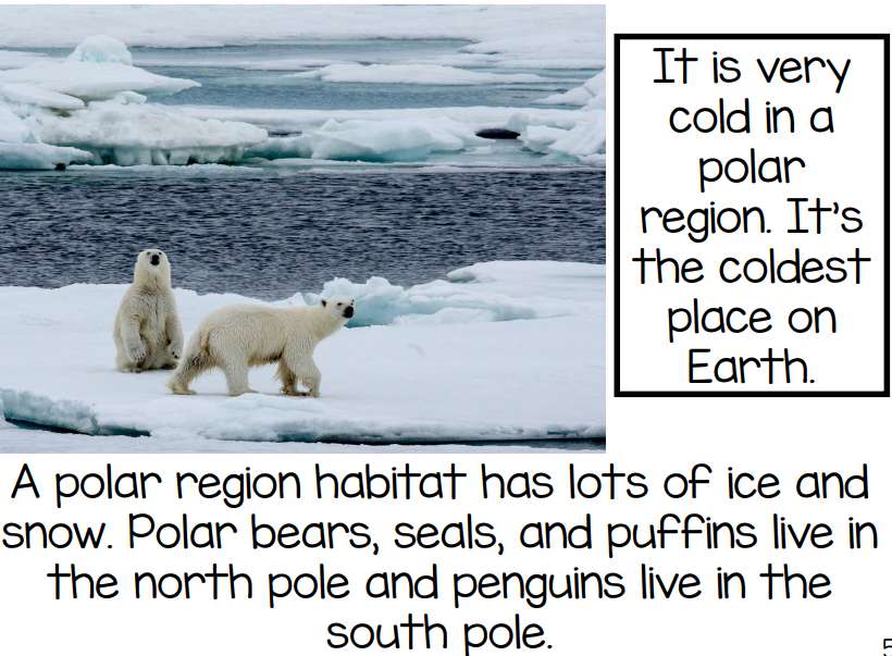 Polar Region puzzle online from photo