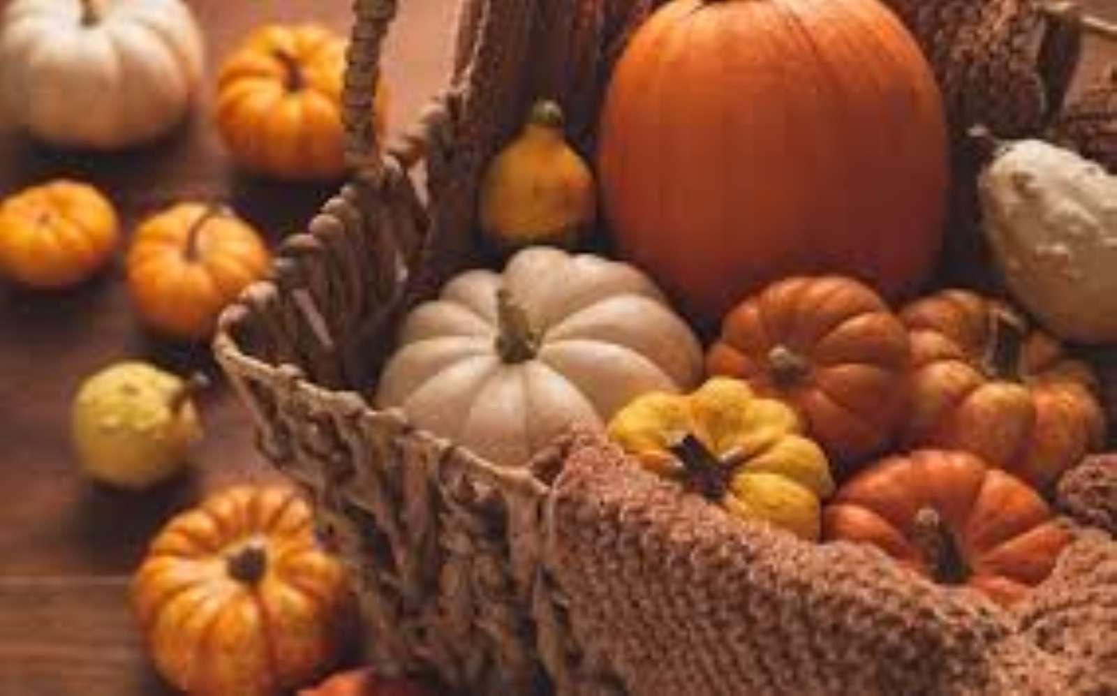 Fall time puzzle online from photo