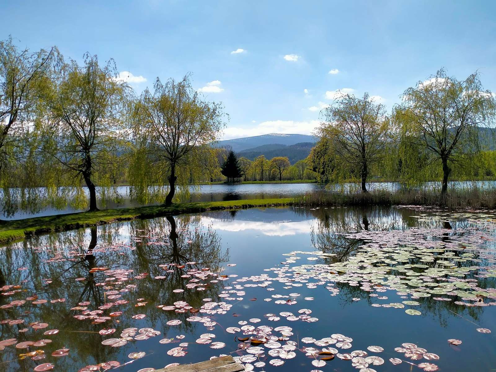 Lagoas Podgórzyńskie puzzle online a partir de fotografia