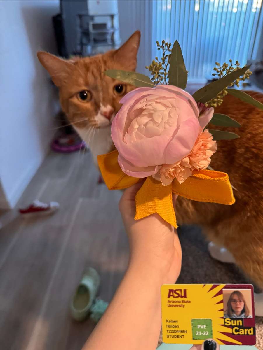 Flower Boutonniere and Cat puzzle online from photo