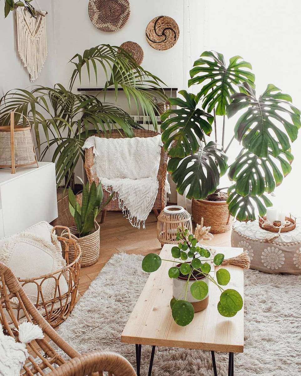 Chambre avec plantes puzzle en ligne