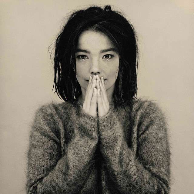 Bjork Wesh puzzle online