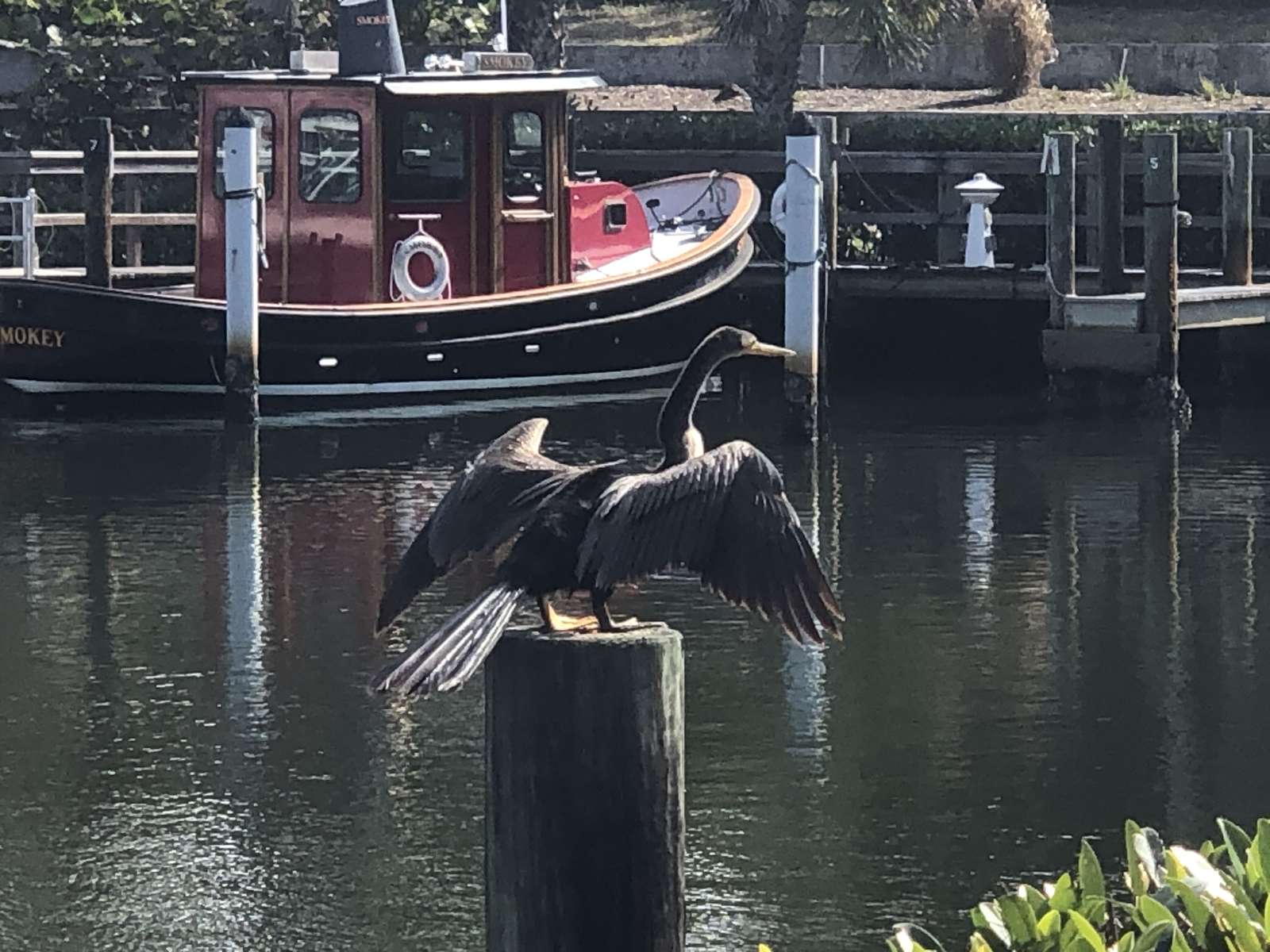 Anhinga online puzzle
