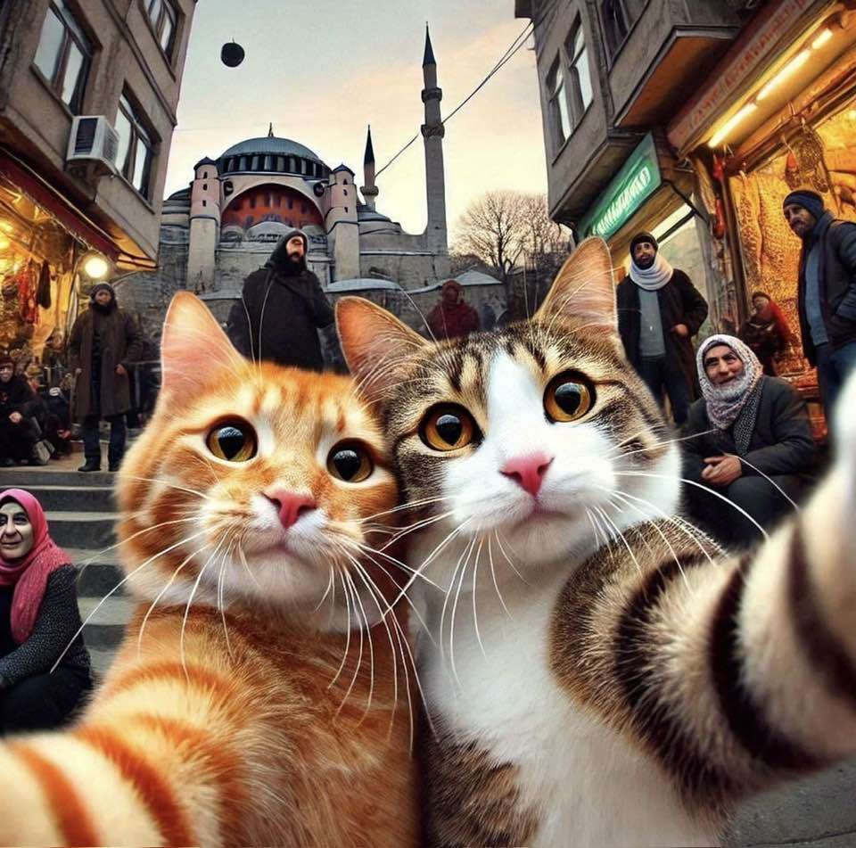 Kitty Kitz en Estambul rompecabezas en línea