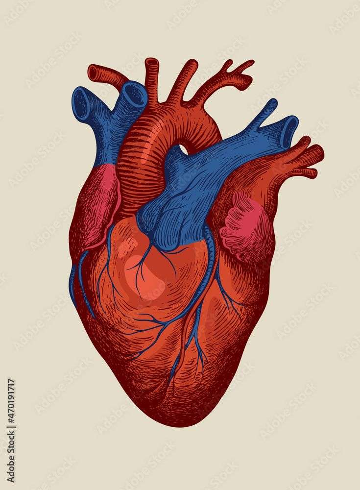 Joc interactiv: „Cardiopuzzle” - Recompuneți C puzzle online din fotografie