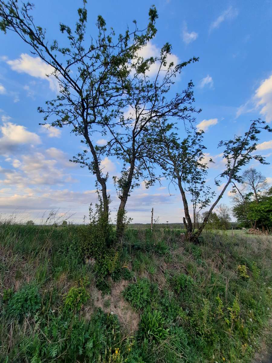 The summer day ends puzzle online from photo