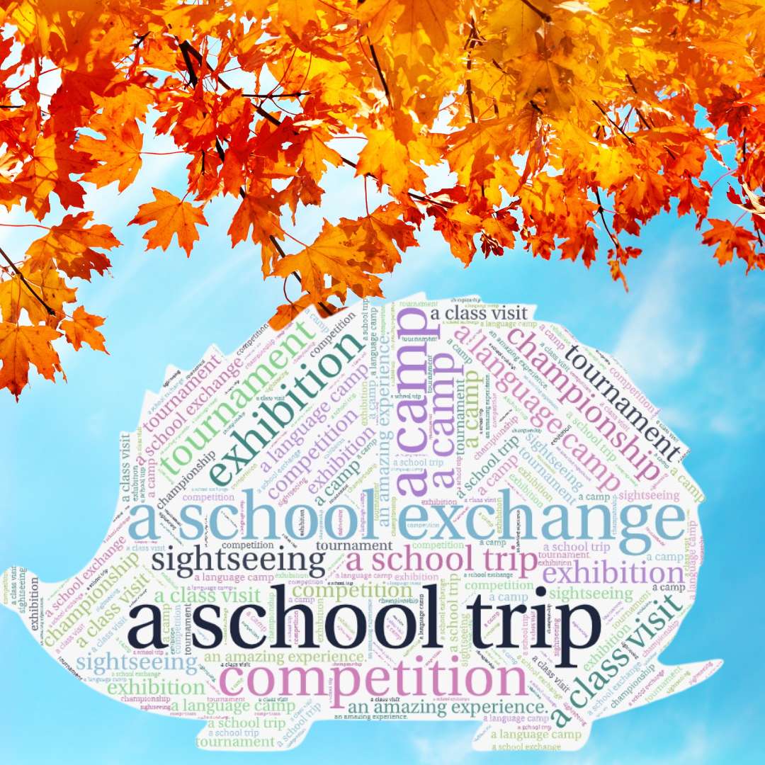 E8 - słownictwo z arkuszy - rzeczowniki puzzle online from photo