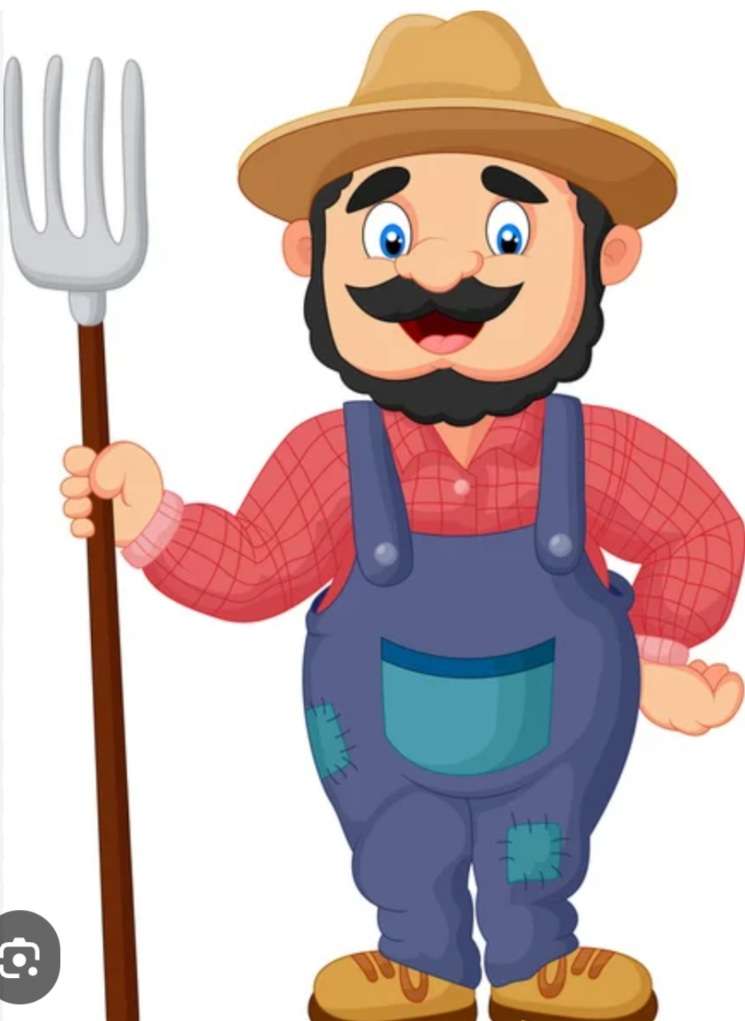 Farmer Nelu online puzzle