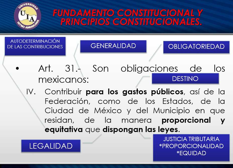 Base para contribuições. puzzle online a partir de fotografia