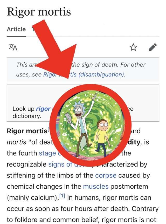 è quel rigor mortis con rig e mortis puzzle online da foto