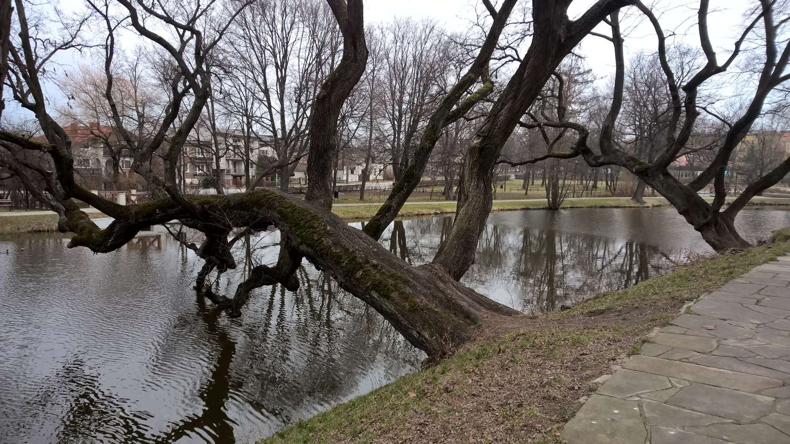 Szydłowiec puzzle online da foto