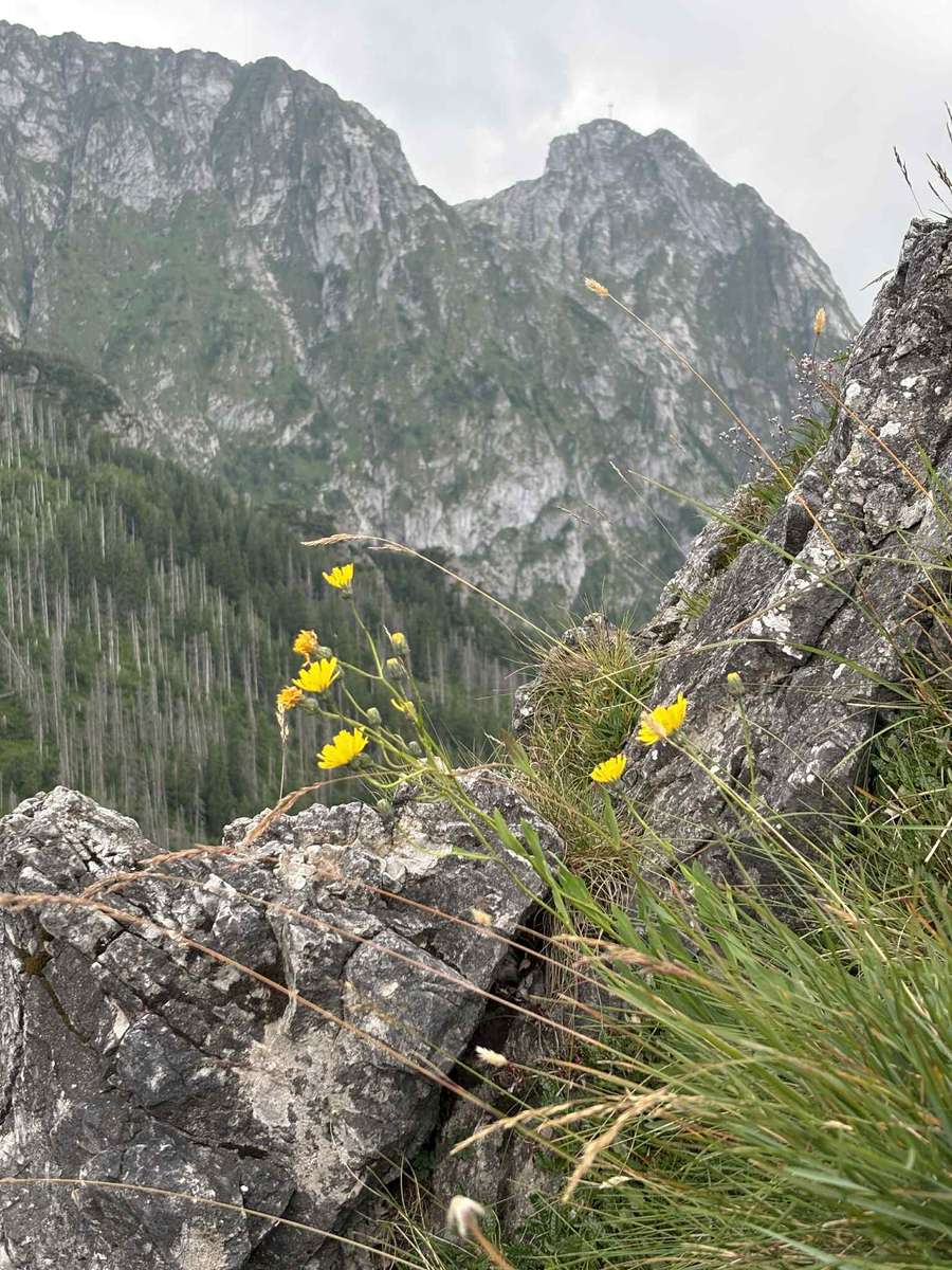 Stânca Sarnia puzzle online din fotografie