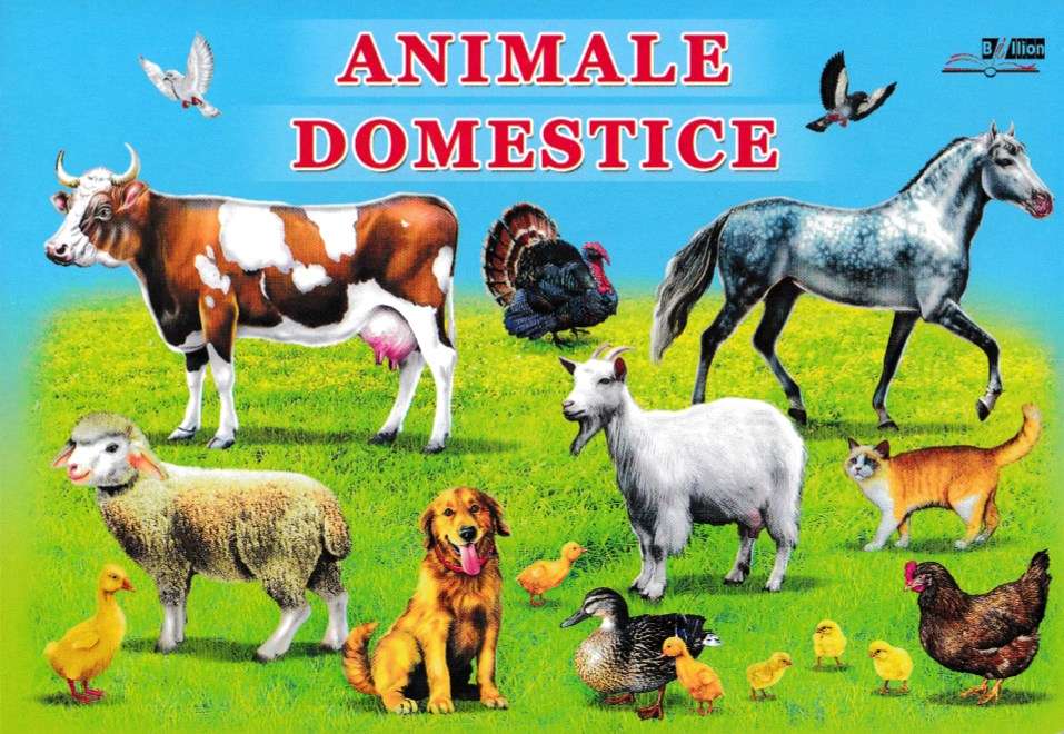 Help the farmer Ghita. online puzzle