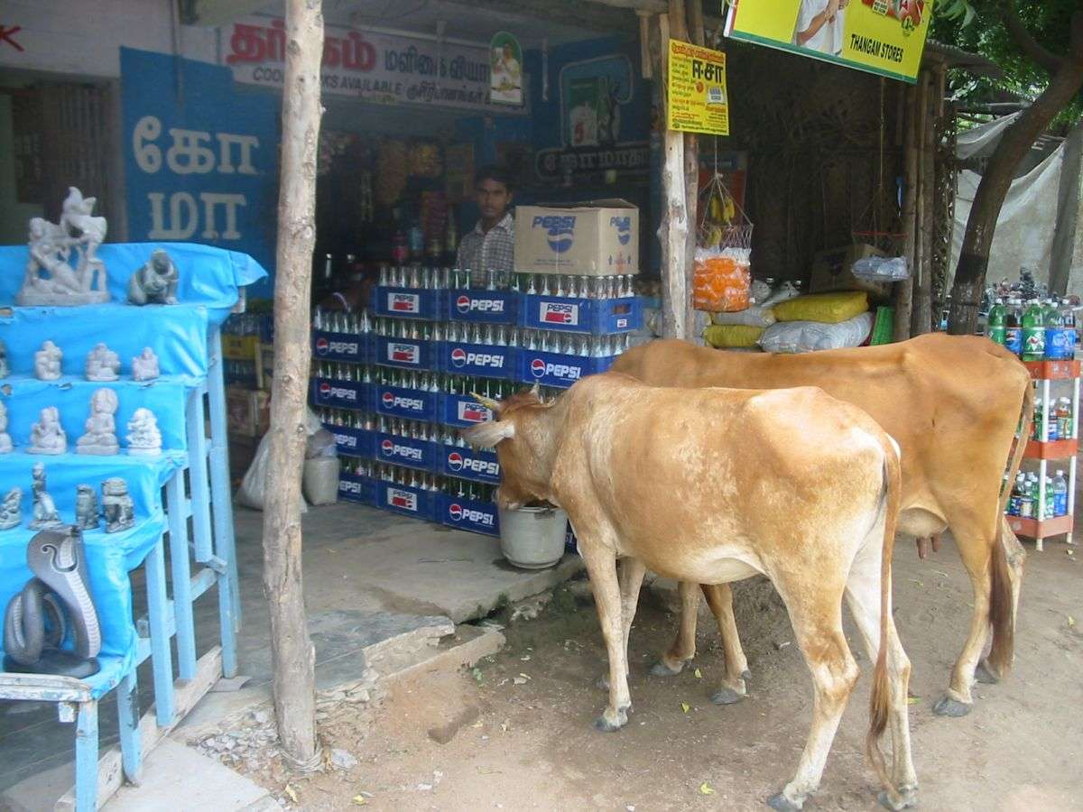 Ινδία 2006 online παζλ