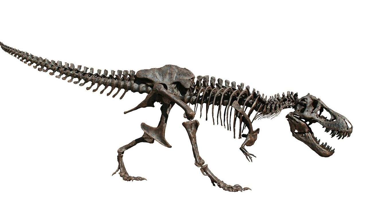 Puzzle T-Rex puzzle online din fotografie