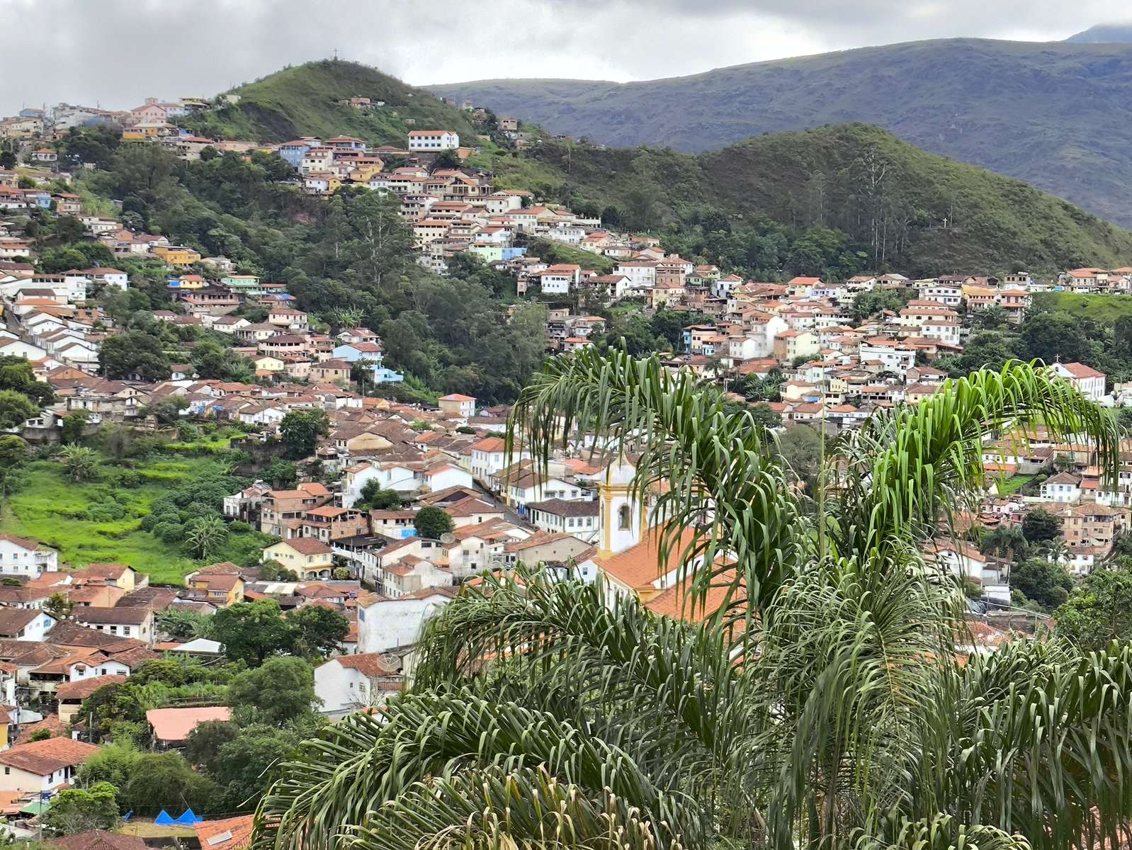 Ouro Preto achter de kokospalm puzzel online van foto