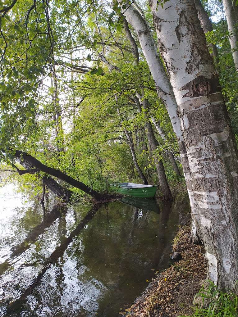 Λίμνη στο Choczewo παζλ online από φωτογραφία