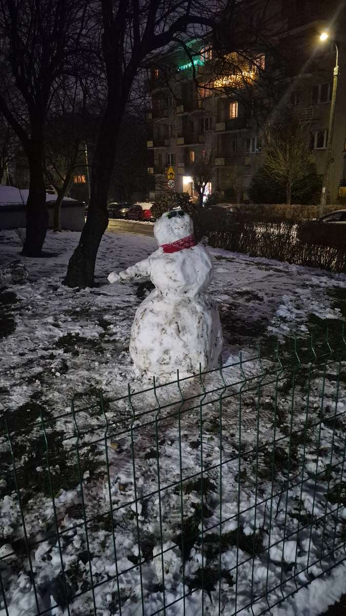 Snowman 2026 pussel online från foto