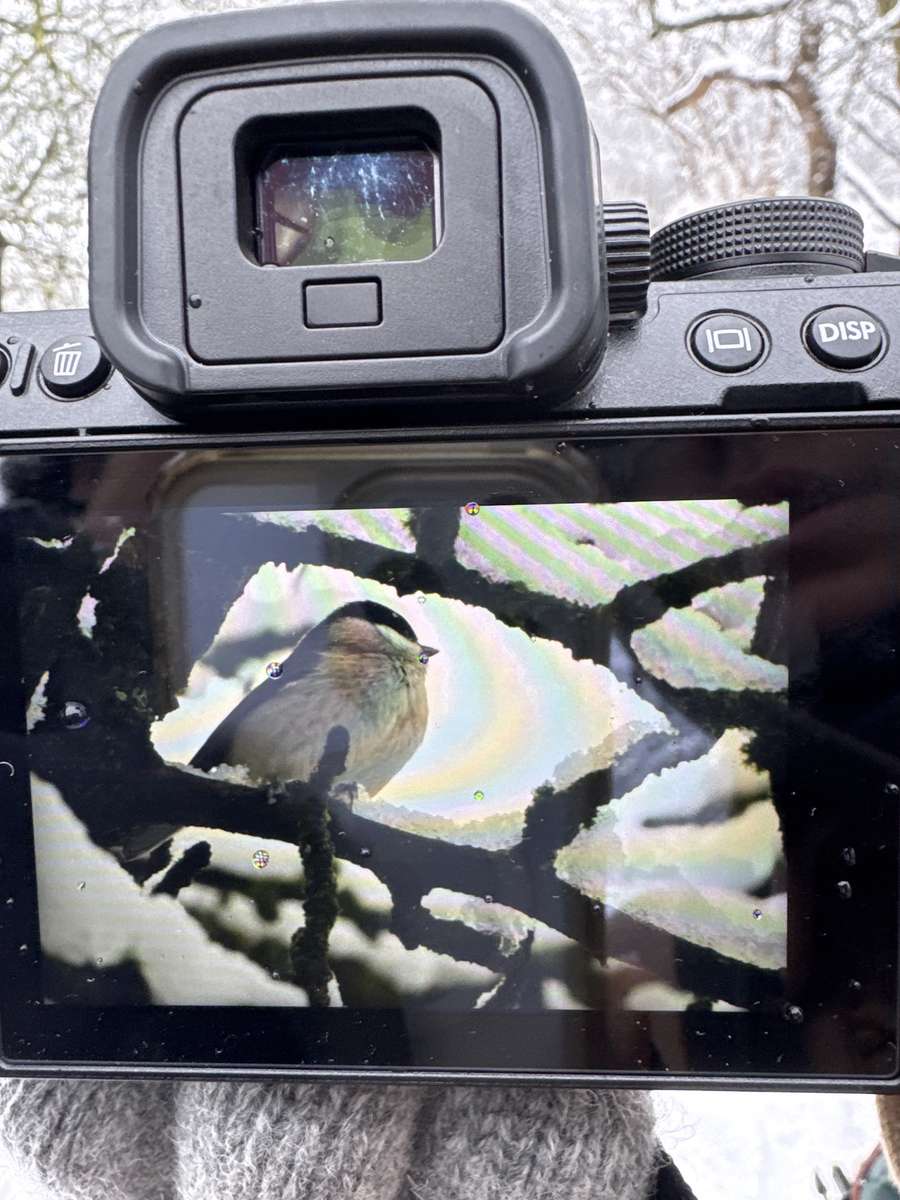 Ik heb deze foto gestolen puzzel online van foto