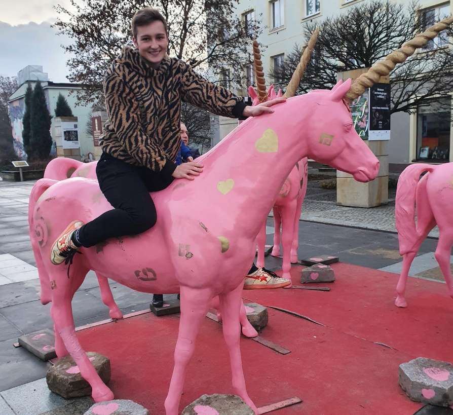 gay unicorn puzzle online from photo