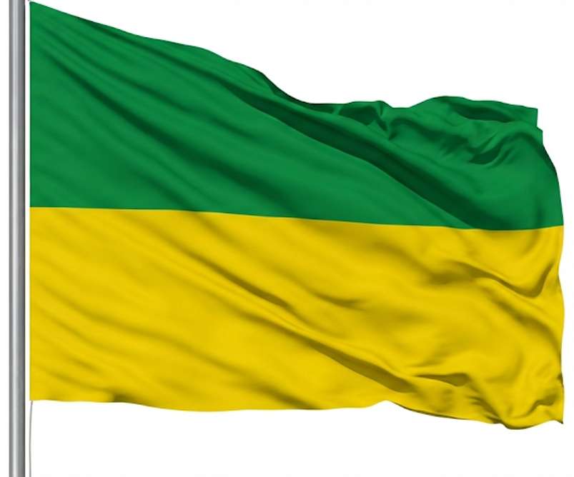 Drapeau institutionnel puzzle en ligne