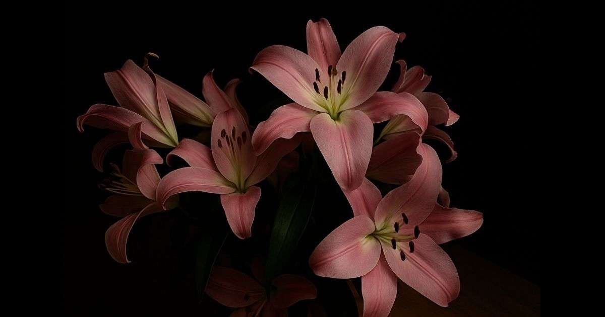 Crini roz puzzle online