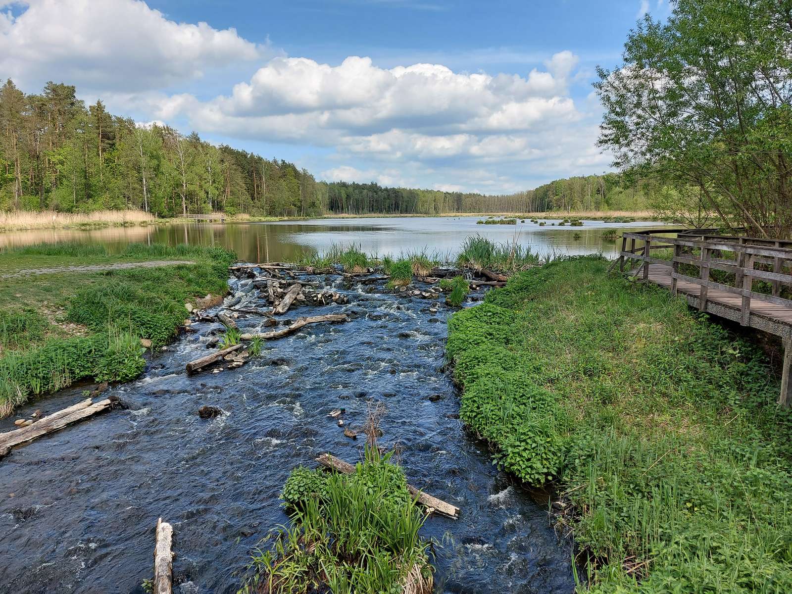 Pod peste ape inundabile. puzzle online din fotografie