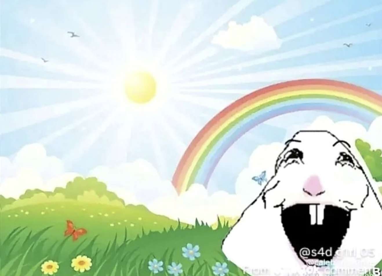 nessun problema puzzle online