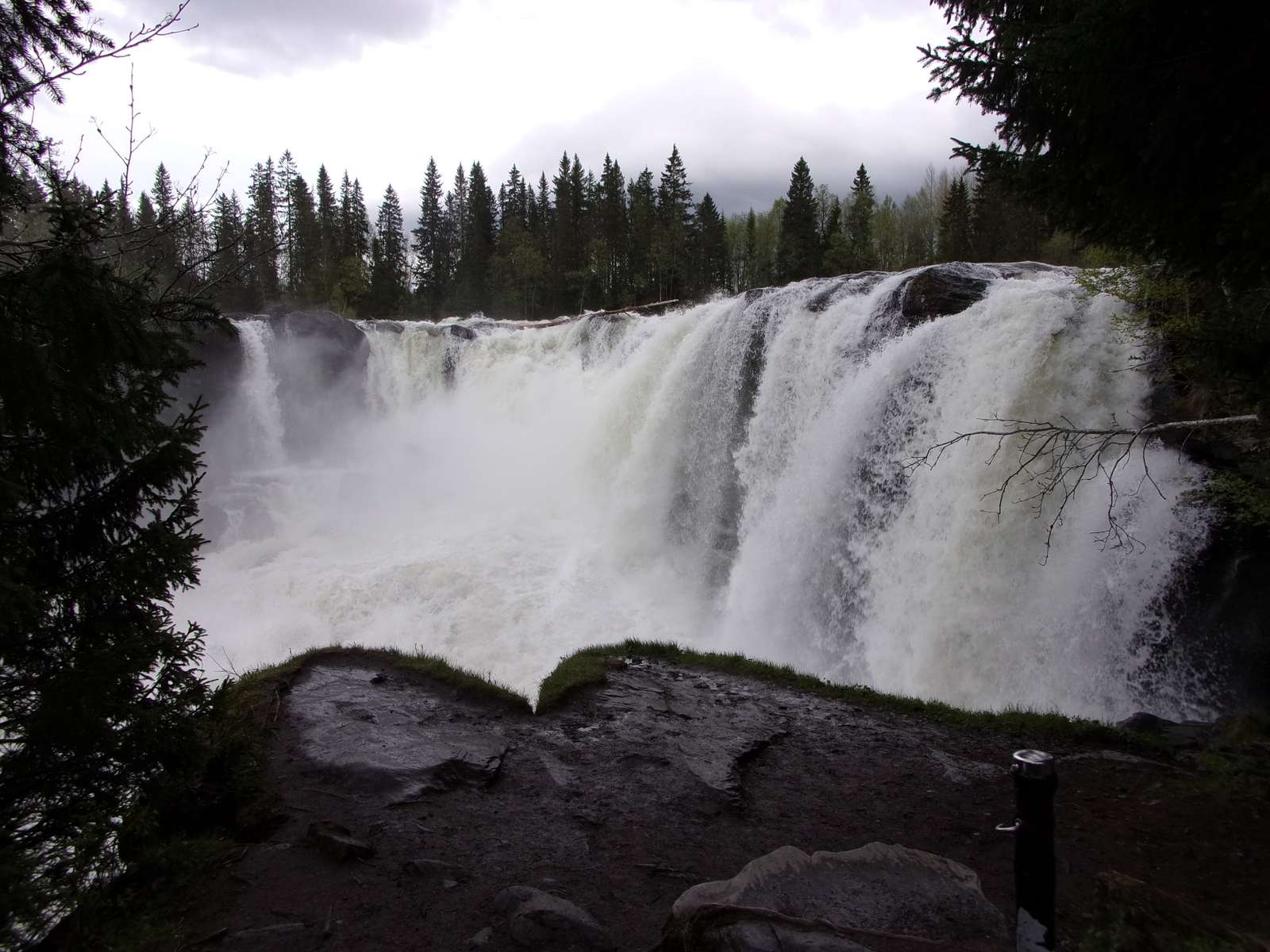 Hermosa naturaleza puzzle online a partir de foto